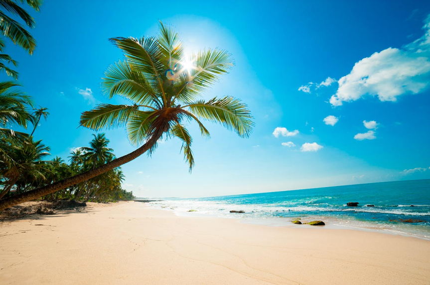 Quels sont les pays des Caraïbes ? La liste&nbsp;complète
